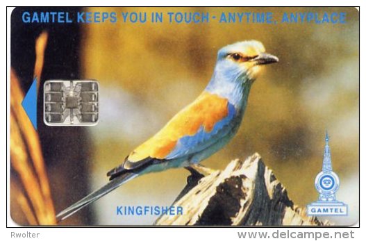 @+ Gambie - Kingfisher 125 Unités - Gambie