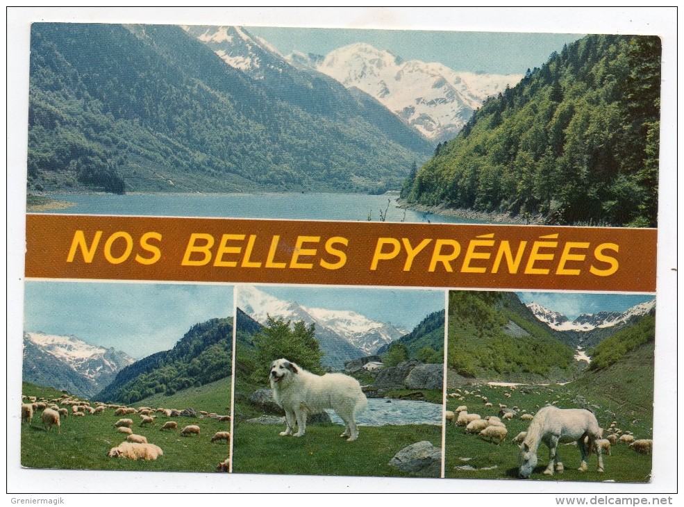65 - Nos Belles Pyrénées - Autres & Non Classés