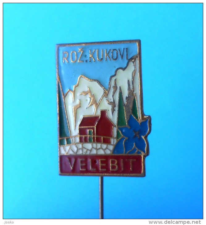 VELEBIT ROZANSKI KUKOVI Kroatien Anstecknadel Bergsteigen Klettern Alpinismus Pin Badge Climbing Mountaineering Edelweiß - Alpinismus, Bergsteigen