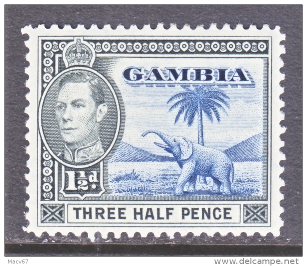 GAMBIA  134 A   *     FAUNA  ELEPHANT - Gambia (...-1964)