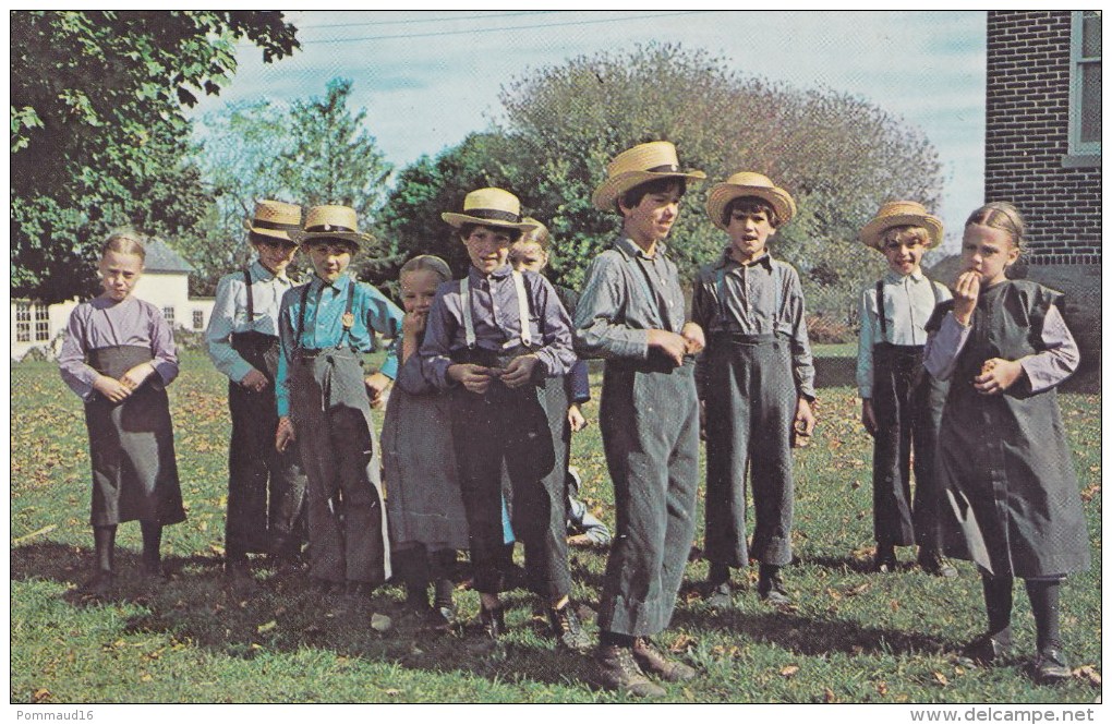 CPM Greetings From The Amish Country - Groupe D'enfants à L'école - America