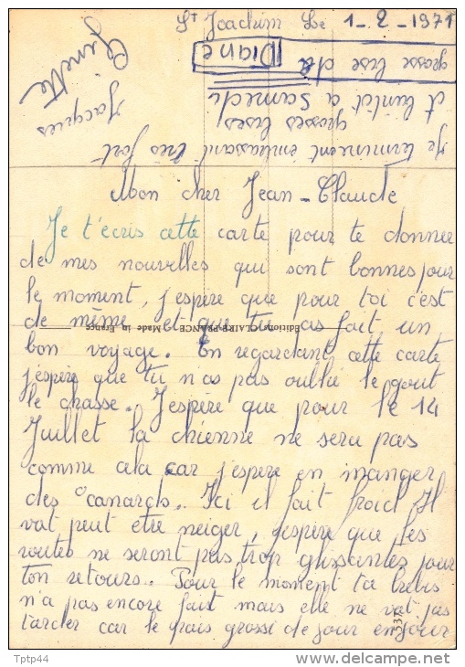 -:"Et Dire Qu'on Me L'a Vendu Garanti Comme Chien Courant !" - Chasseurs - Chaperon, Jean