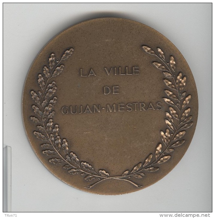 Médaille 68 Mm "La Ville De Gujan Mestras" Bronze - Other & Unclassified