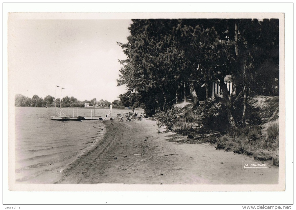 CPSM  ALLIER - LA FORET DE TRONCAIS  N°10 ETANG DE SAINT BONNET - LA PLAGE - Autres & Non Classés