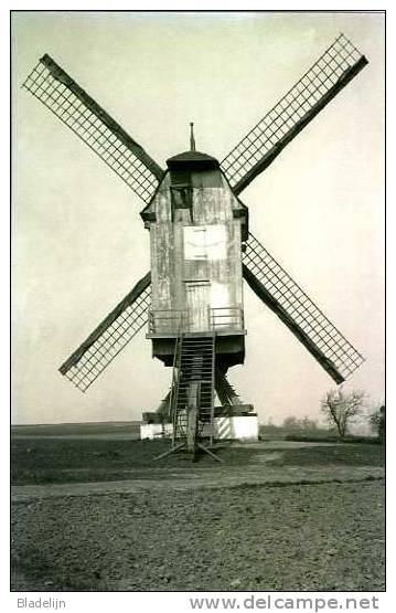 RILLAAR Bij Aarschot (Vlaams-Brabant) - Molen/moulin - De Verdwenen Houten Molen Van Vertessen. Prachtige Close-up! - Aarschot