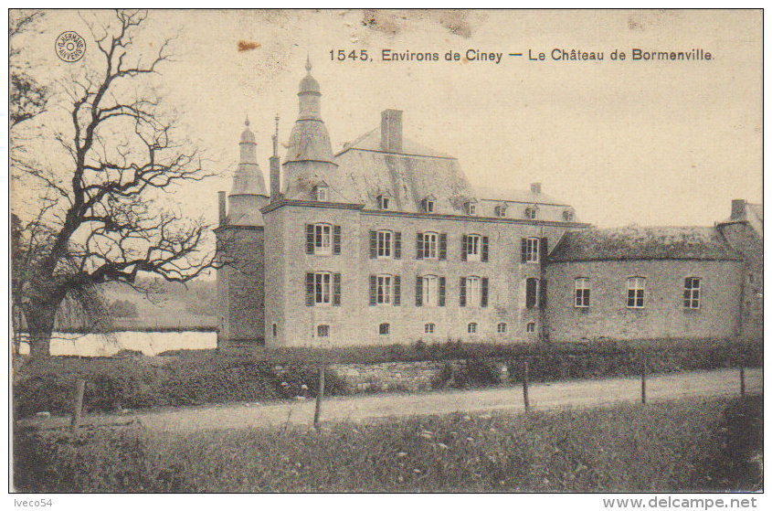 1919  Bormenville  Environs De Ciney  " Le Château " - Havelange