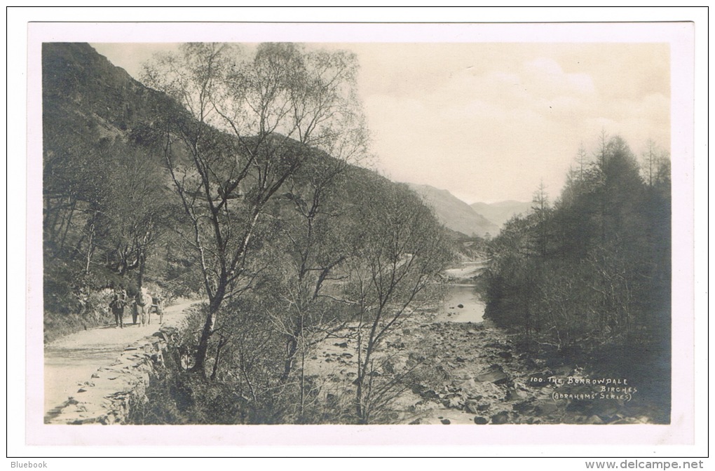 RB 1050 - Early Real Photo Postcard - The Borrowdale Birches - Cumbria Lake District - Horse &amp; Cart - Borrowdale