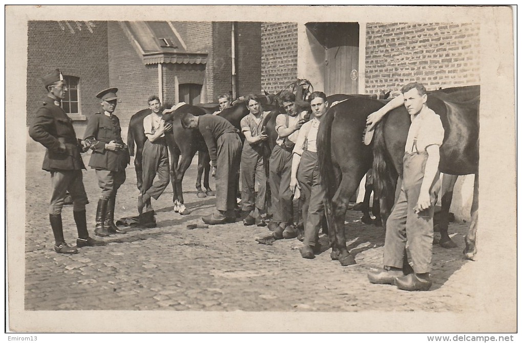 Carte Photo Soldats Brossage Des Chevaux Militaires - Sonstige & Ohne Zuordnung