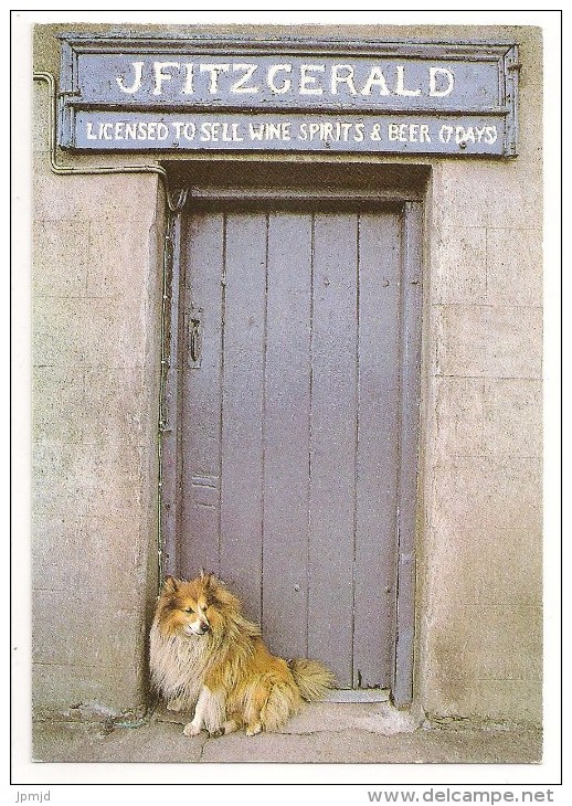 Ireland - Pub Door In Brandon Village, Co. Kerry - Ed. Real Ireland - Chien Dog - Kerry