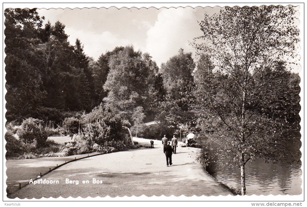 Apeldoorn - Berg En Bos  - 1958  - (Gelderland - Holland/Nederland) - Apeldoorn