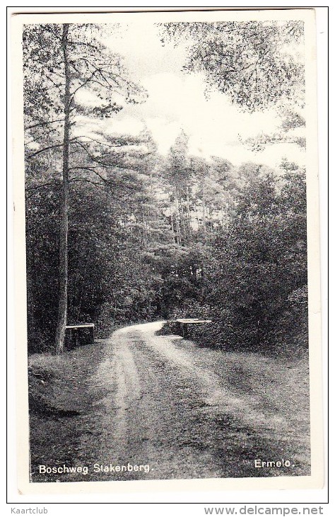 Ermelo - Boschweg Stakenberg - 1939  -  (Gelderland - Holland/Nederland) - Ermelo