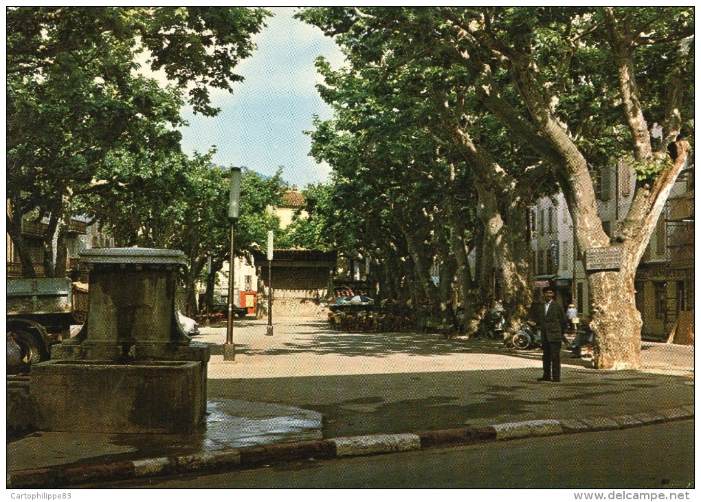 VAR 83 SALERNES  CPM LA PLACE VUE DU KIOSQUE À MUSIQUE - Salernes