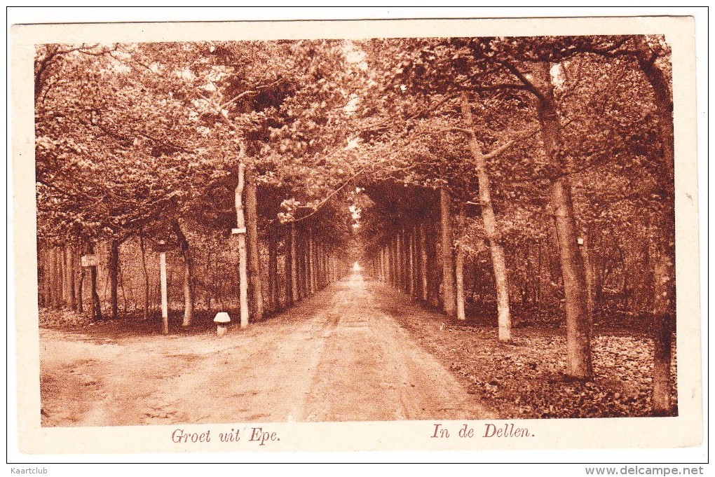 Groet Uit  Epe - In De Dellen  (Uitg. Nauta & Zoon - A 2144) -  (Gelderland - Holland/Nederland) - Epe