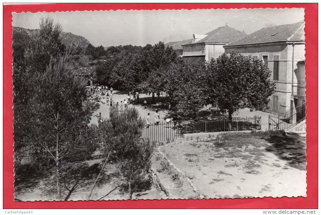 VAR 83 SALERNES CPSM AÉRIUM DU VAR - Salernes