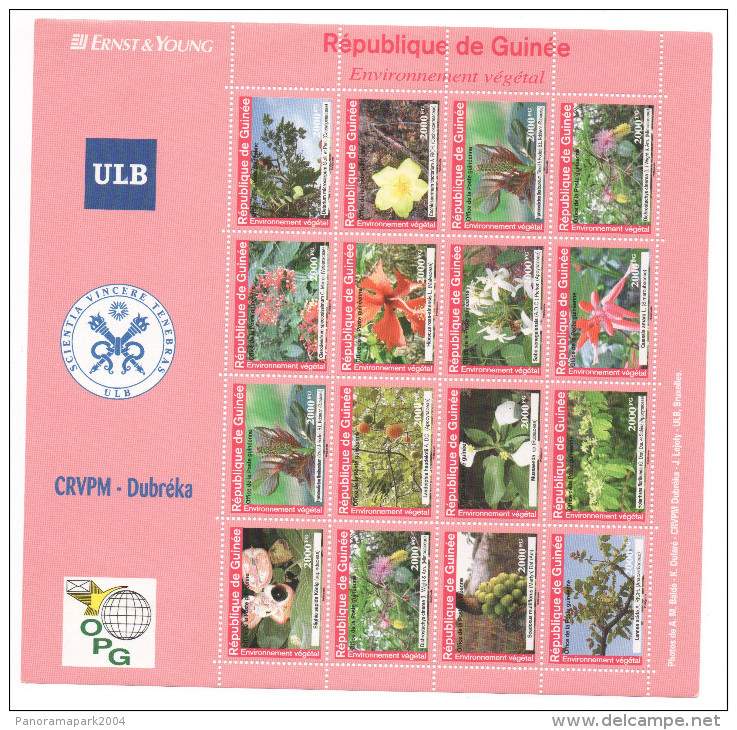 Guinée 2007 ? Environnement Végétal Flora Flore Blüten Flowers Sheet Of 16 Stamps Kleinbogen Bloc De 16 - Guinée (1958-...)