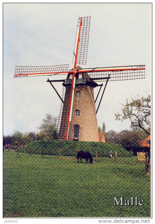 Westmalle  Scherpenberg Molen - Malle