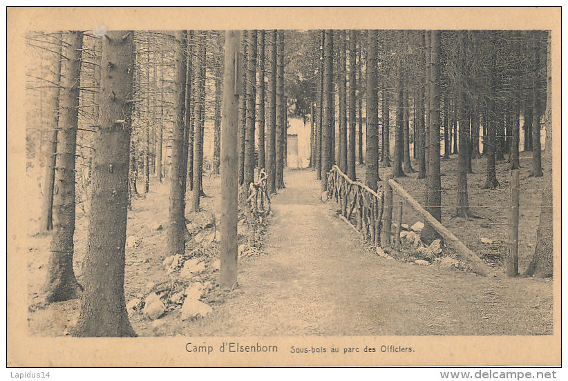 WW 975- C P A-  BELGIQUE-  CAMP D'ELSENBORN  SOUS BOIS  AU PARC DES OFFICIERS - Elsenborn (camp)