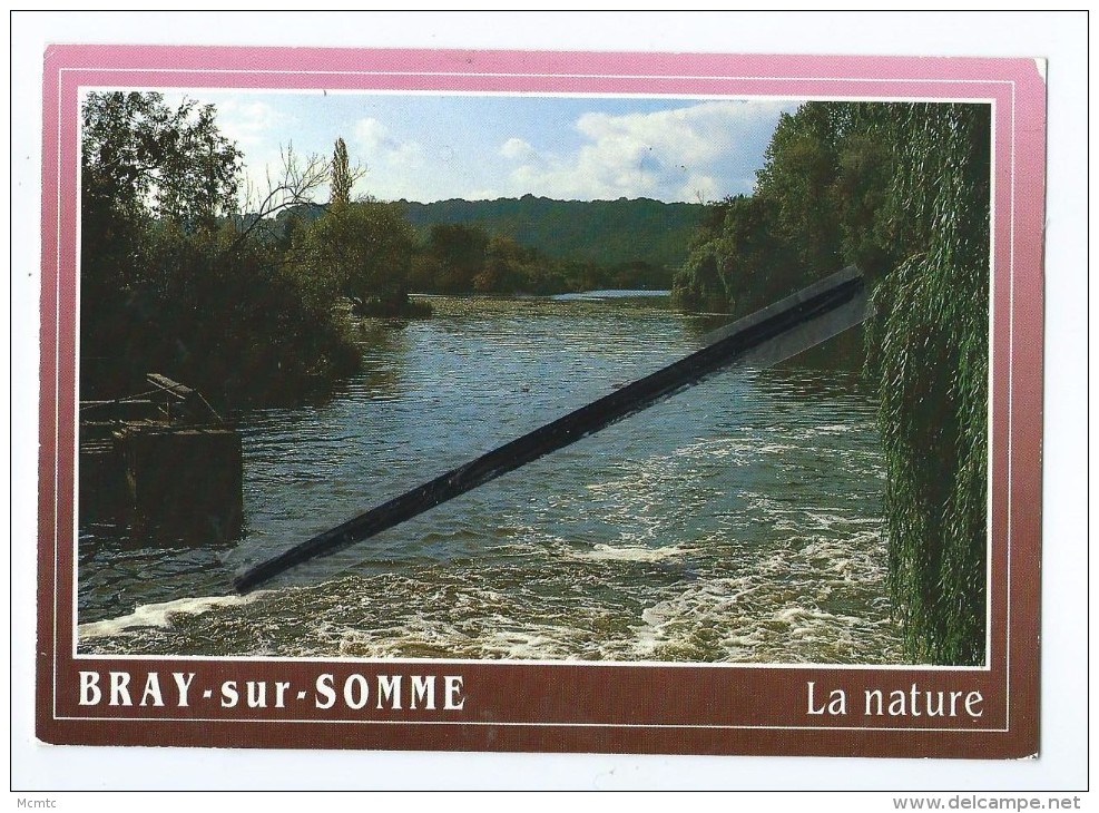 CPM - Bray Sur Somme - Vallée De La Haute Somme - Une Anguillère à Fargny - La Nature - Bray Sur Somme