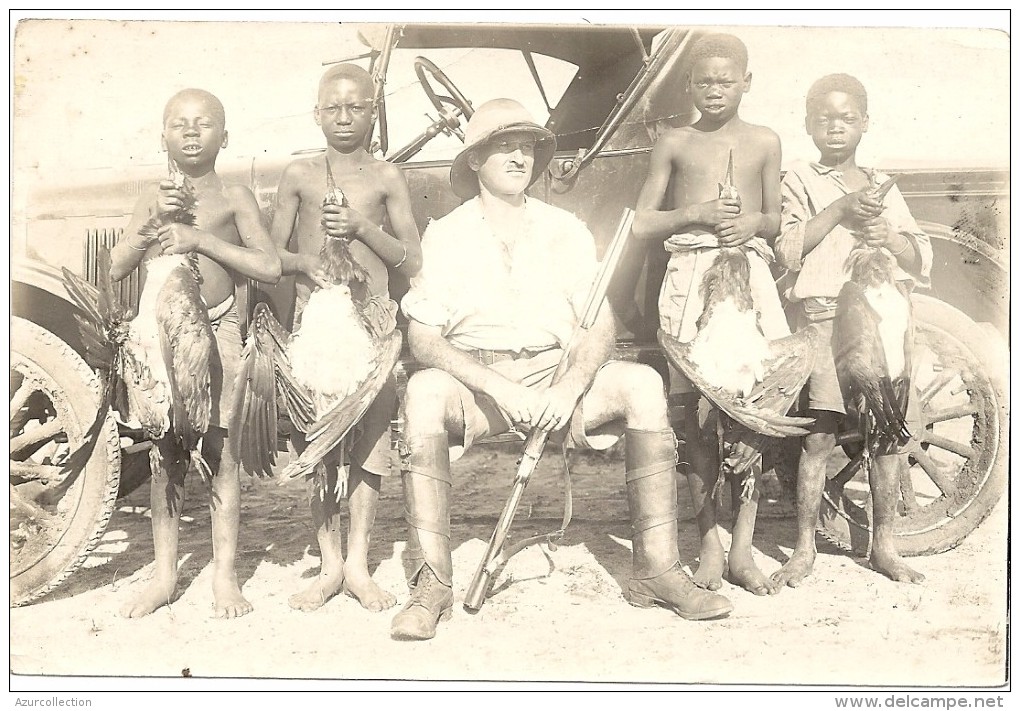 SUPERBE SCENE DE CHASSE AUX OISEAUX - Africa