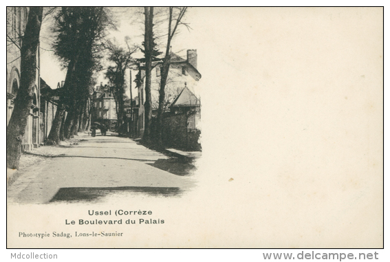 19 USSEL / Boulevard Du Palais / - Ussel