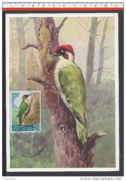 SAINT-MARIN - 1960 - TIMBRE N° 487 SUR CARTE MAXIMUM  THEME OISEAUX " PIVERT " - - Lettres & Documents