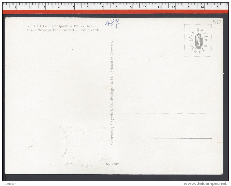 SAINT-MARIN - 1960 - TIMBRE N° 487 SUR CARTE MAXIMUM  THEME OISEAUX " PIVERT " - - Lettres & Documents