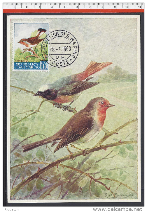 SAINT-MARIN - 1960 - TIMBRE N° 488 SUR CARTE MAXIMUM  THEME OISEAUX " TRAQUET " - - Lettres & Documents