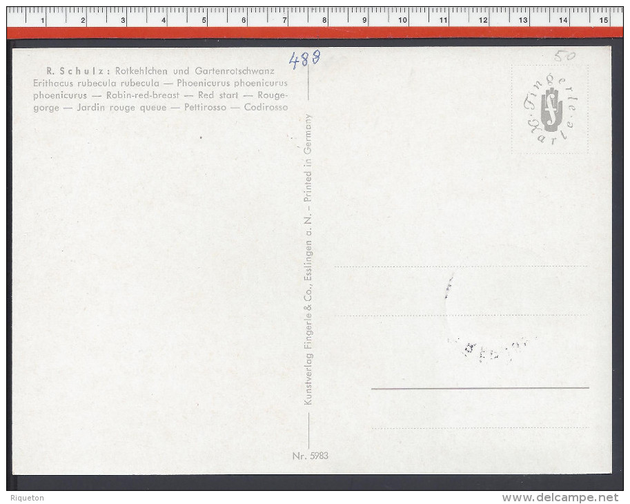SAINT-MARIN - 1960 - TIMBRE N° 488 SUR CARTE MAXIMUM  THEME OISEAUX " TRAQUET " - - Lettres & Documents