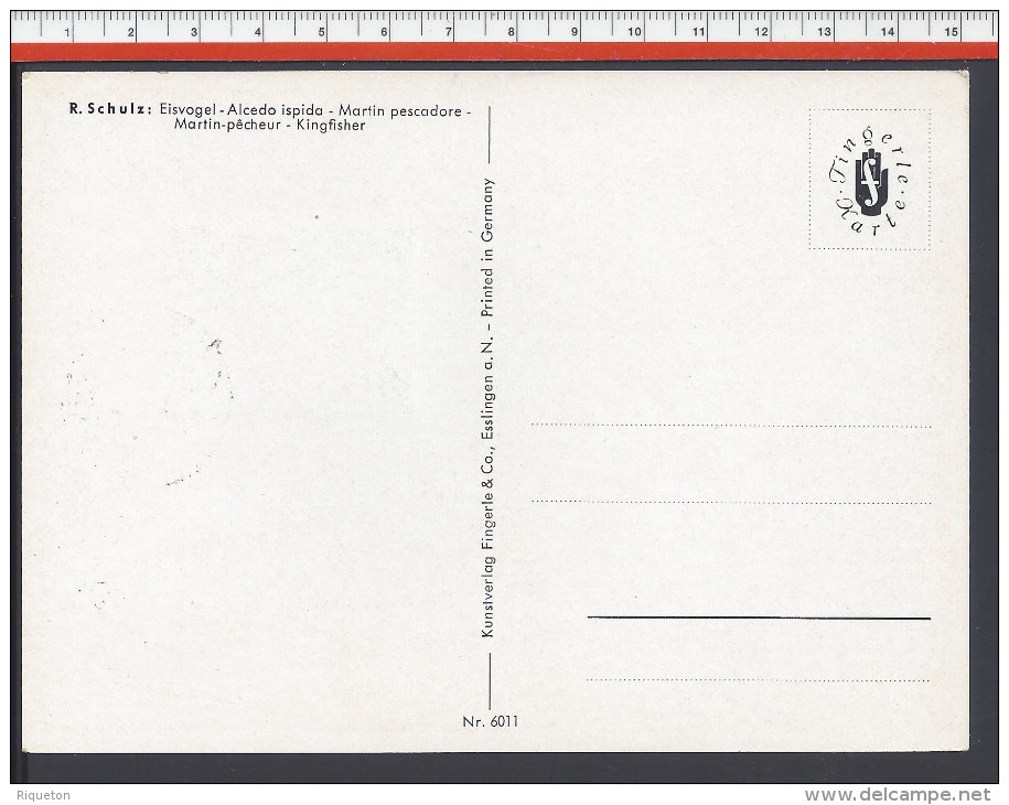 SAINT-MARIN - 1960 - CARTE MAXIMUM TIMBREE THEME OISEAUX " MARTIN PECHEUR " - - Lettres & Documents