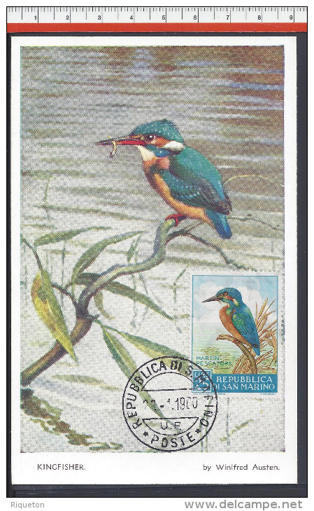 SAINT-MARIN - 1960 - CARTE POSTALE TIMBREE THEME OISEAUX " MARTIN PECHEUR " - - Lettres & Documents