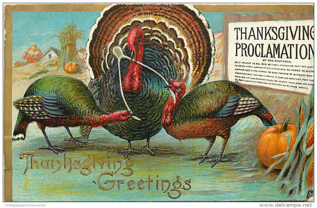 256003-Thanksgiving, Unknown No UP09-2, Thanksgiving Proclamation, Three Turkeys With Wishbone By Pumpkin - Giorno Del Ringraziamento