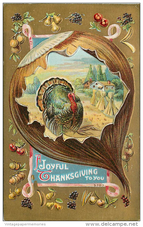 256009-Thanksgiving, Unknown No 5707, Turkey In Field Inside Onion Frame - Thanksgiving