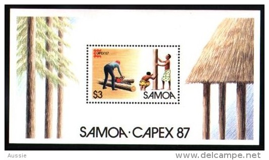 Samoa 1987 Yvertn° Bloc 40 *** MNH Cote 4,50 Euro Capex '87 - Samoa (Staat)