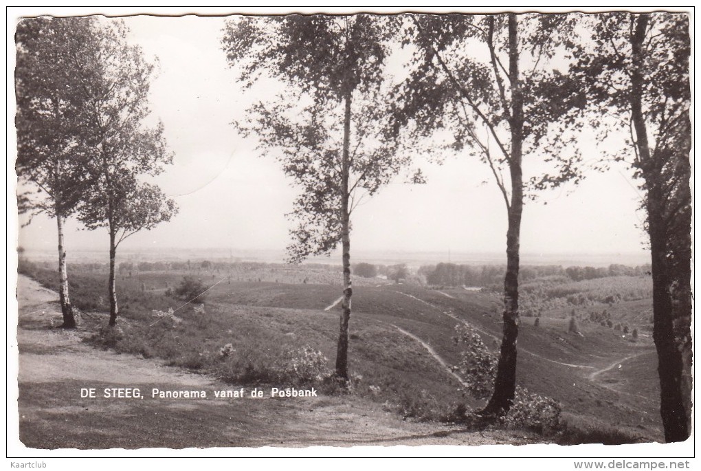 De Steeg, Panorama Vanaf De Posbank - 1964 -  (Gelderland - Holland/Nederland) - Rheden