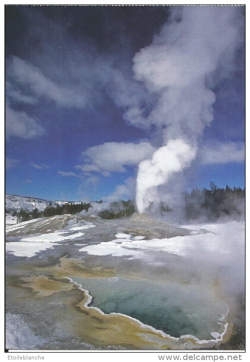 CPM US Wyoming - Yellowstone National Park - Behind Heart Spring, Lion Geyser Is Erupting - Yellowstone