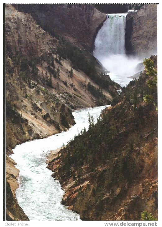 CPM US Wyoming - Yellowstone National Park - Artist Point - Chute D'eau, Cascade - Yellowstone