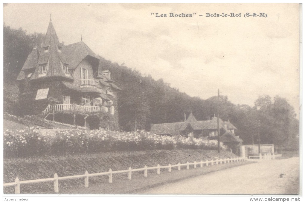 LES ROCHES - BOIS LE ROI - 77 SEINE ET MARNE - CPA RARISIME 1910 DOS DIVISE VOYAGEE ECRITE AU DOS TBE - Bois Le Roi