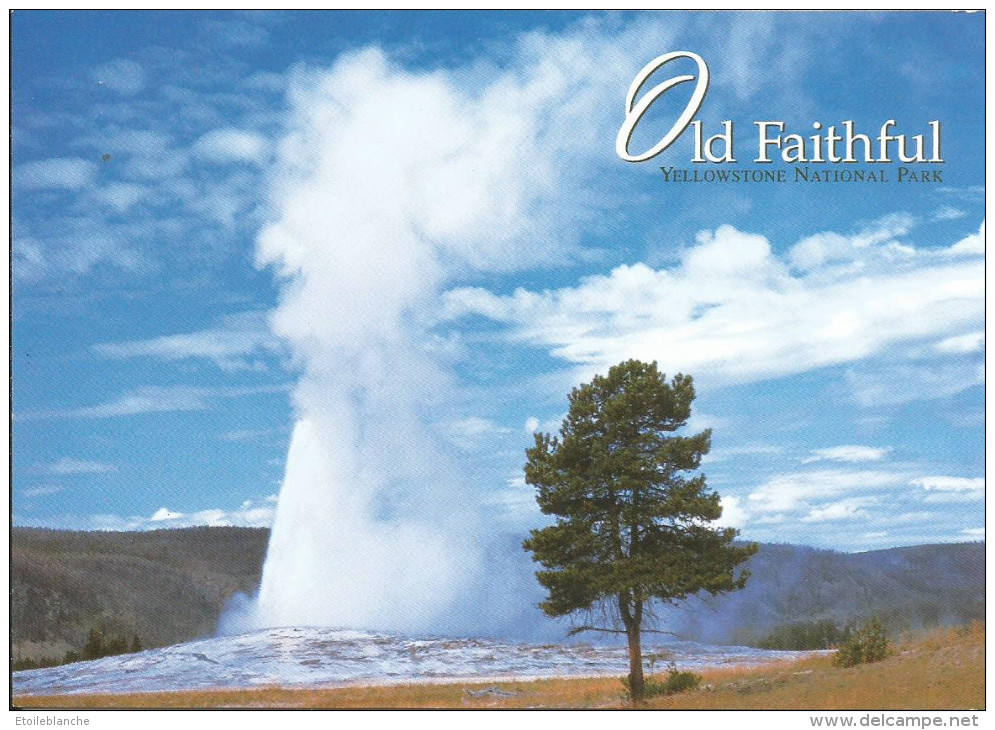 CPM US Wyoming - Yellowstone National Park - Geyser, Old Faithful - Eruption 240°F Interval From 33 To 120 Min - Yellowstone