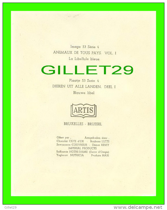 CHROMOS - LA LIBELLULE BLEUE - IMAGE 53 SÉRIE 4 - ANIMAUX DE TOUS PAYS - ARTIS BRUXELLES - DIMENSION 13 X 16 Cm - - Other & Unclassified