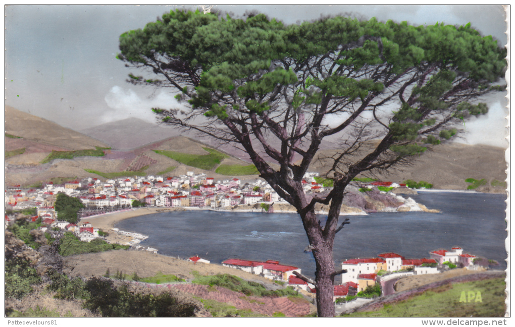 CPSM Dentelée (66)  BANYULS Sur MER Vue Générale La Plage La Baie - Banyuls Sur Mer