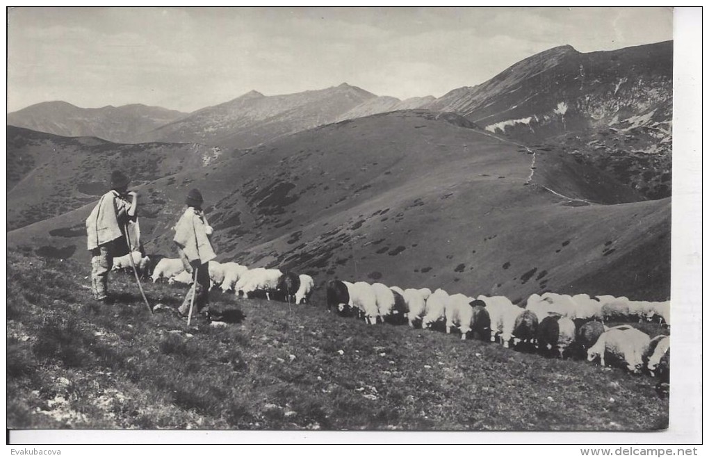 Nízké Tatry. - Slowakei