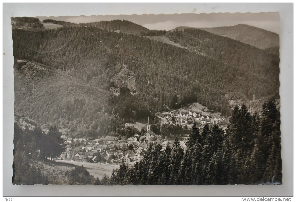 SCHILTACH  IM SCHWARZWALD BLICK VOM BRANDSTEIGWEG - Schiltach