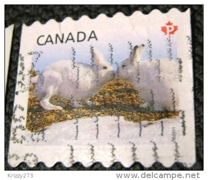 Canada 2011 Artic Rabbits P - Used - Used Stamps