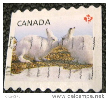 Canada 2011 Artic Rabbits P - Used - Gebruikt