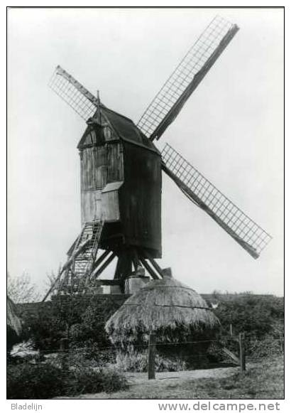 EVERGEM (O.Vl.) - Molen/moulin - Prachtige Opname Van De Verdwenen Kuitenbergmolen (ca. 1920) - Evergem