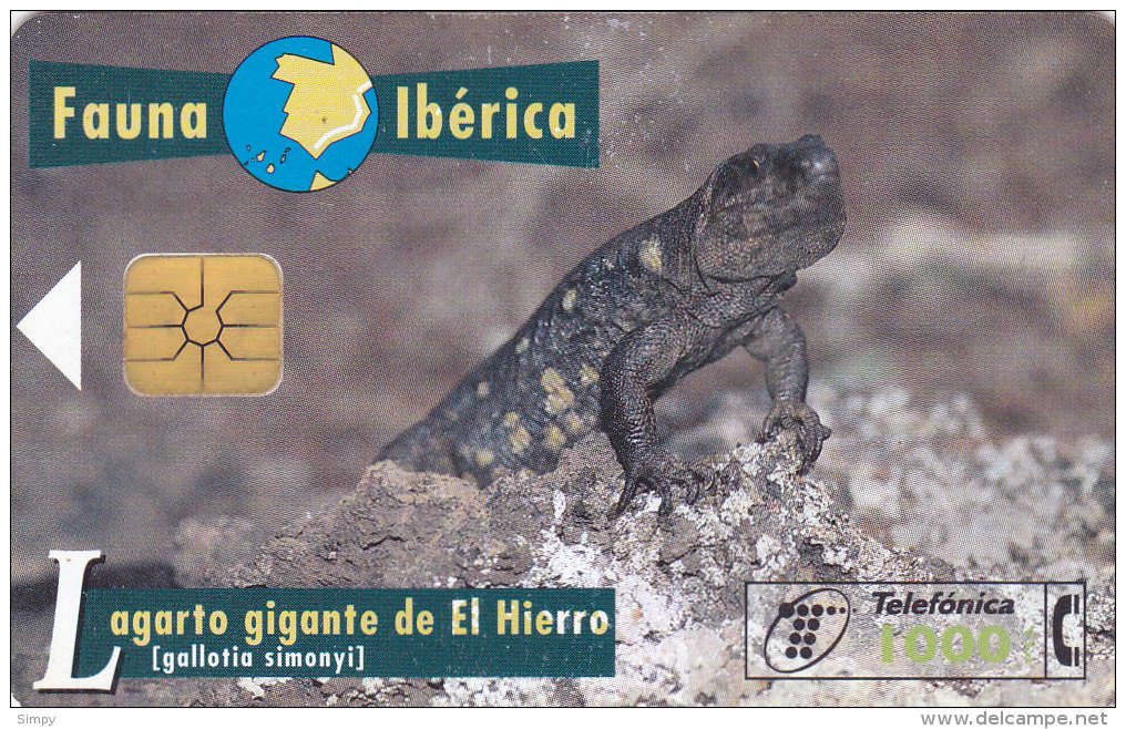 SPAIN   Phonecard With Chip  Reptile, Lizard - Krokodillen En Alligators