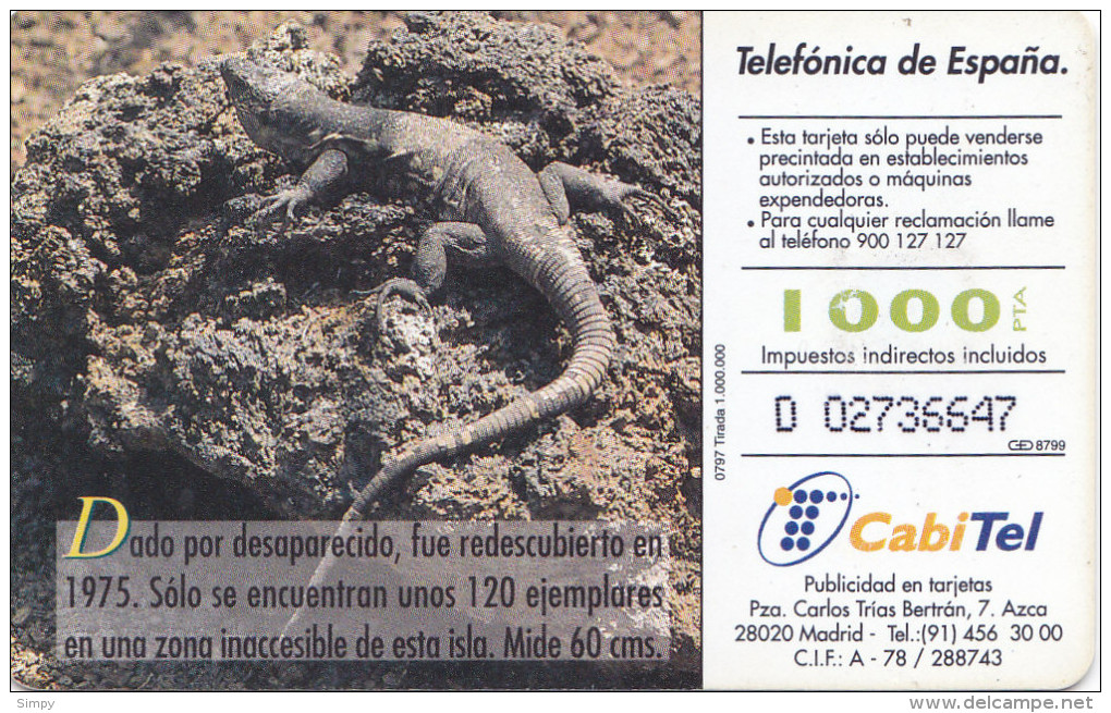 SPAIN   Phonecard With Chip  Reptile, Lizard - Krokodile Und Alligatoren