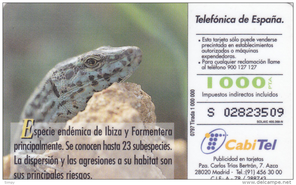 SPAIN   Phonecard With Chip  Reptile, Lizard - Crocodiles Et Alligators