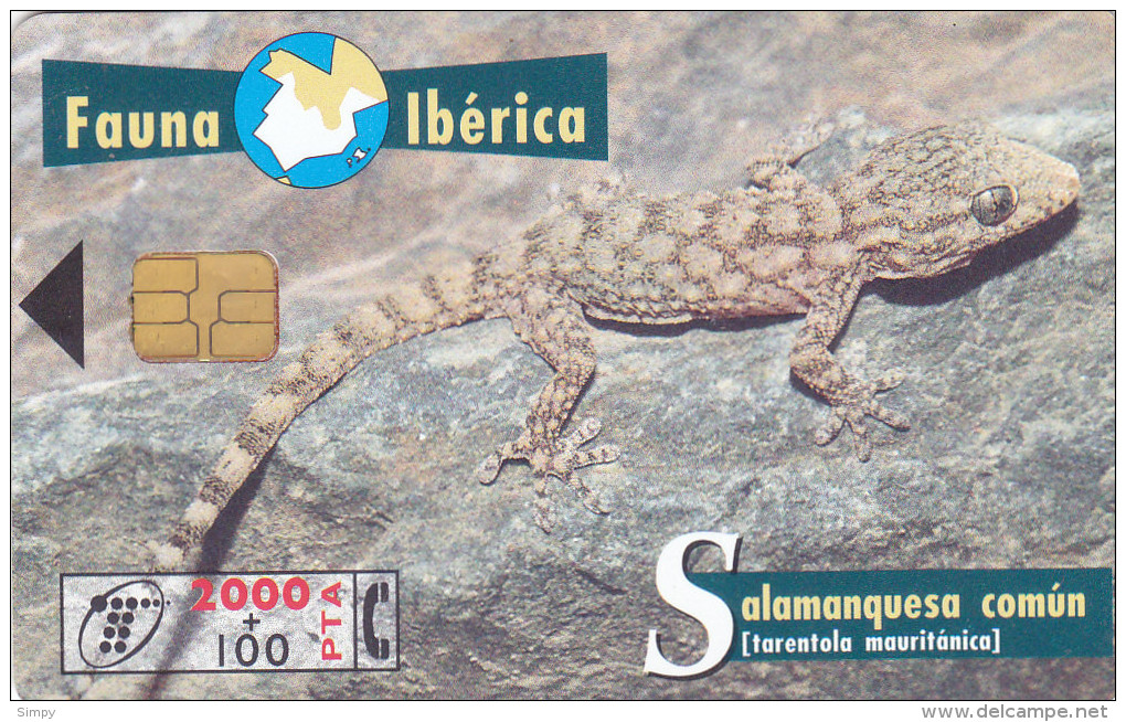 SPAIN   Phonecard With Chip  Reptile, Lizard - Krokodile Und Alligatoren