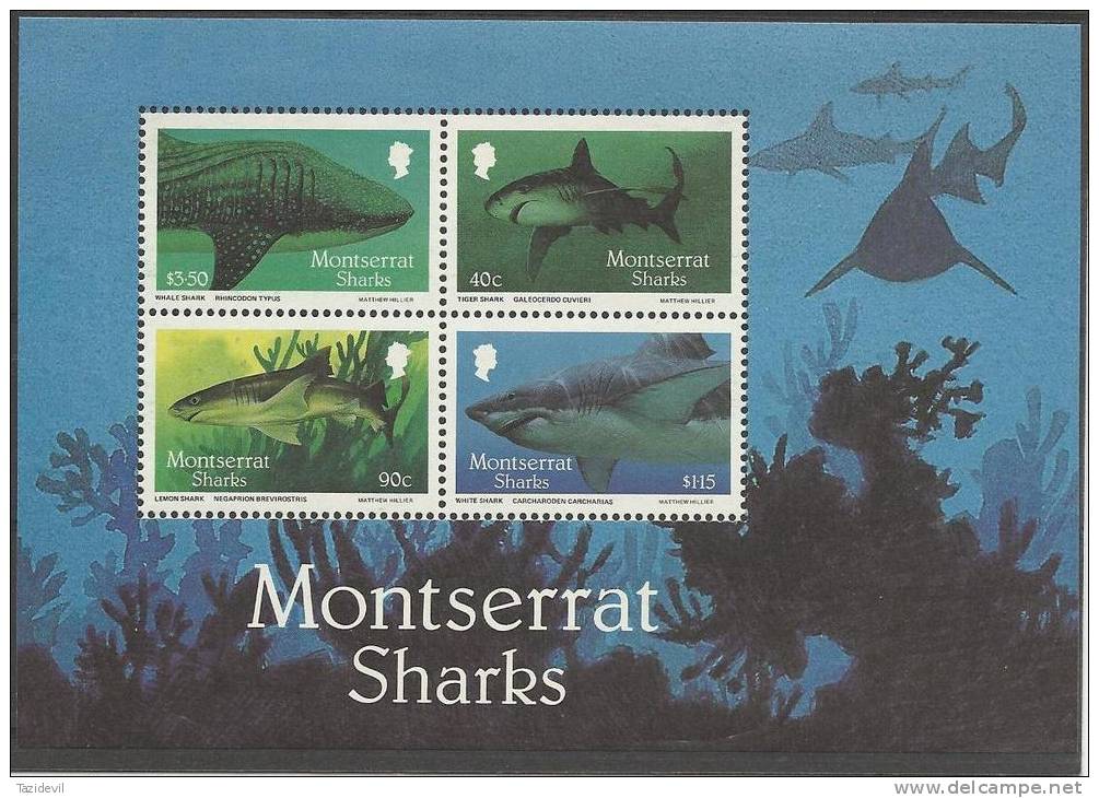 MONTSERRAT - 1987 Sharks Souvenir Sheet. Scott 646a. MNH ** - Montserrat